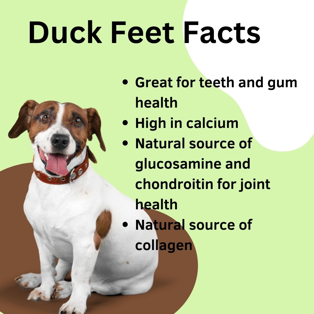 Duck Feet