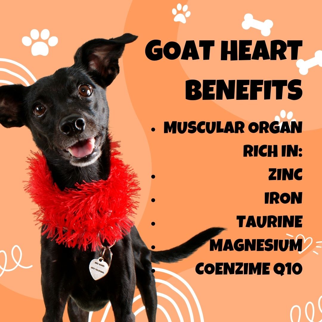 Goat Heart