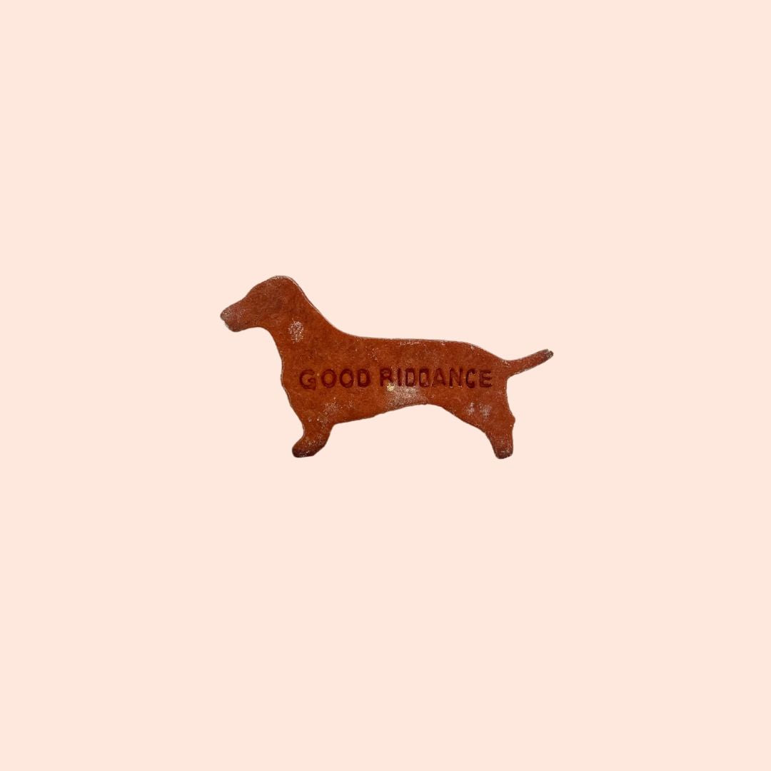 To An Ex | Dog Cookie (Customizable Message)