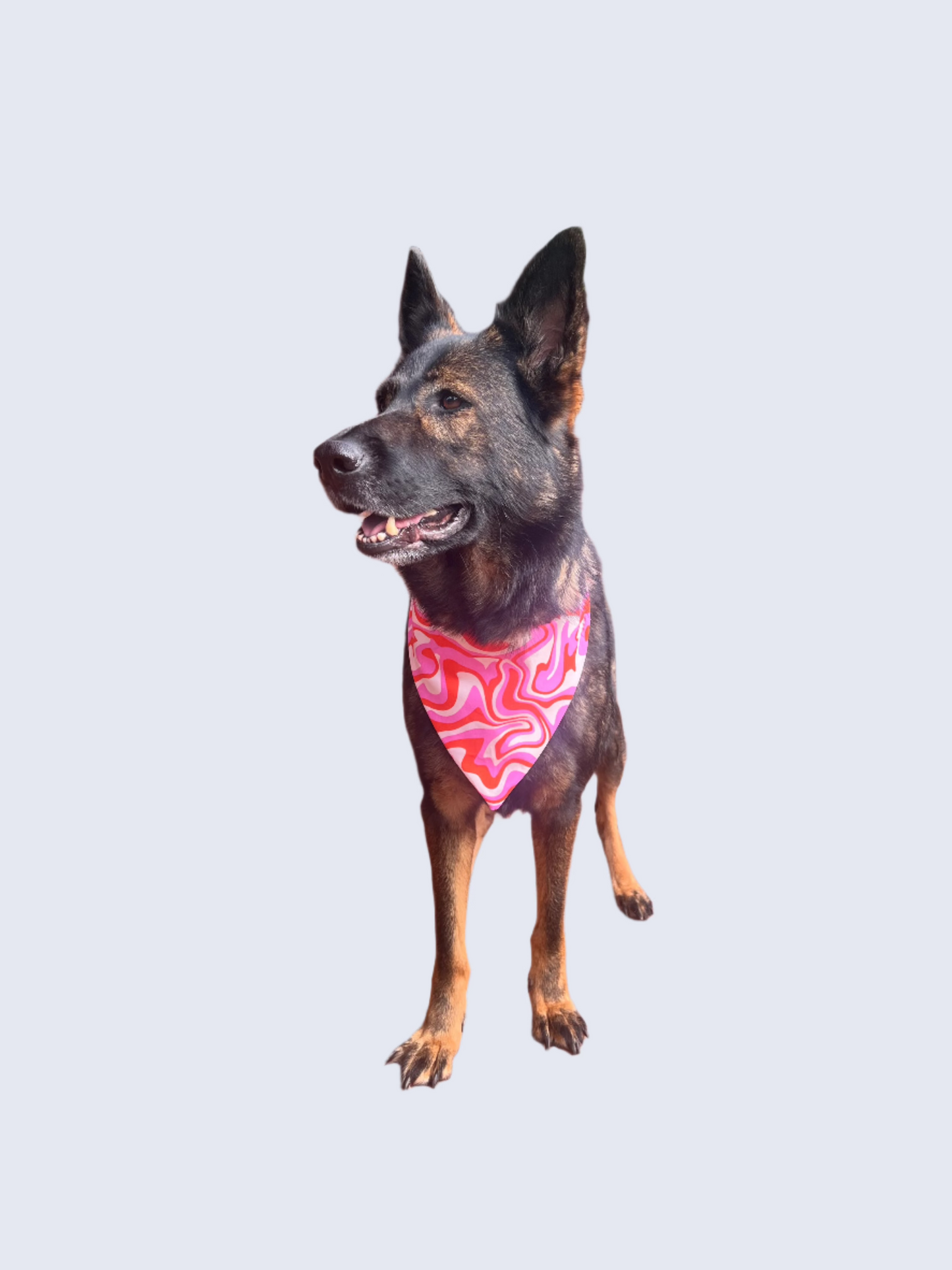 Double Sided Bandana | Groovy Retro