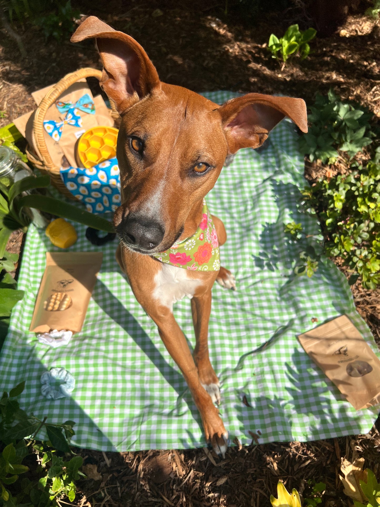 Double Sided Bandana | Picnic