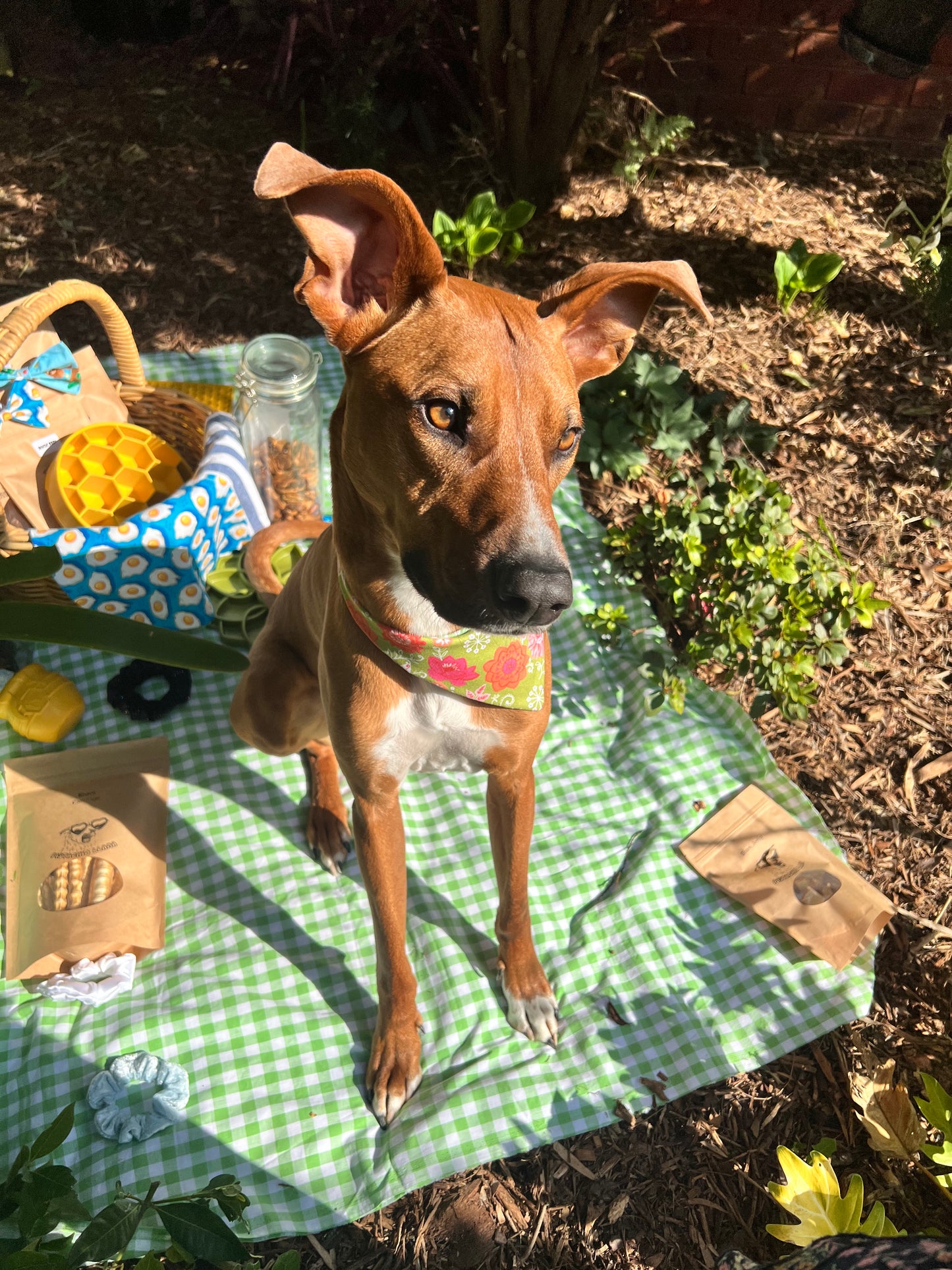 Double Sided Bandana | Picnic