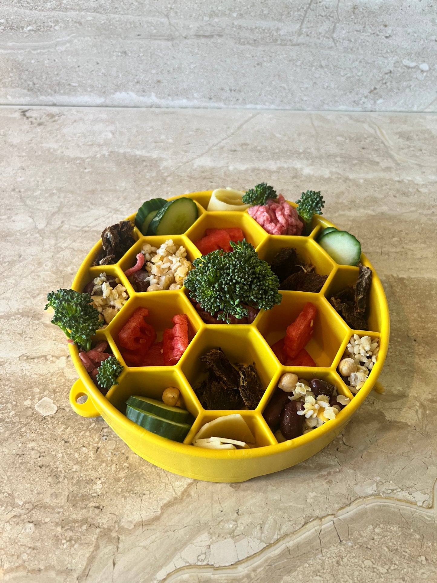 Honeycomb Slow Feeder Bowl for Dogs (Sodapup)