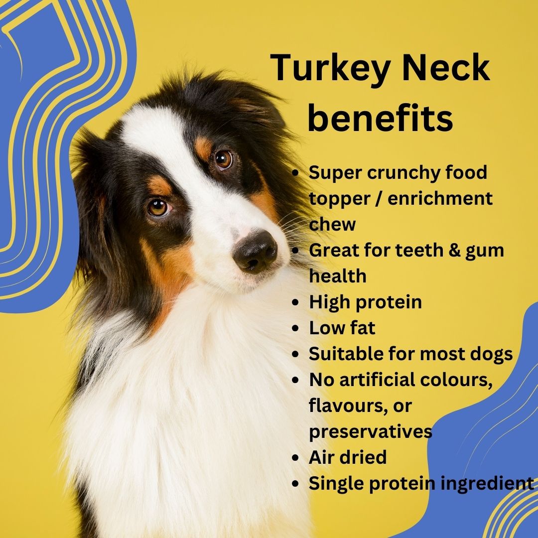 Turkey Neck