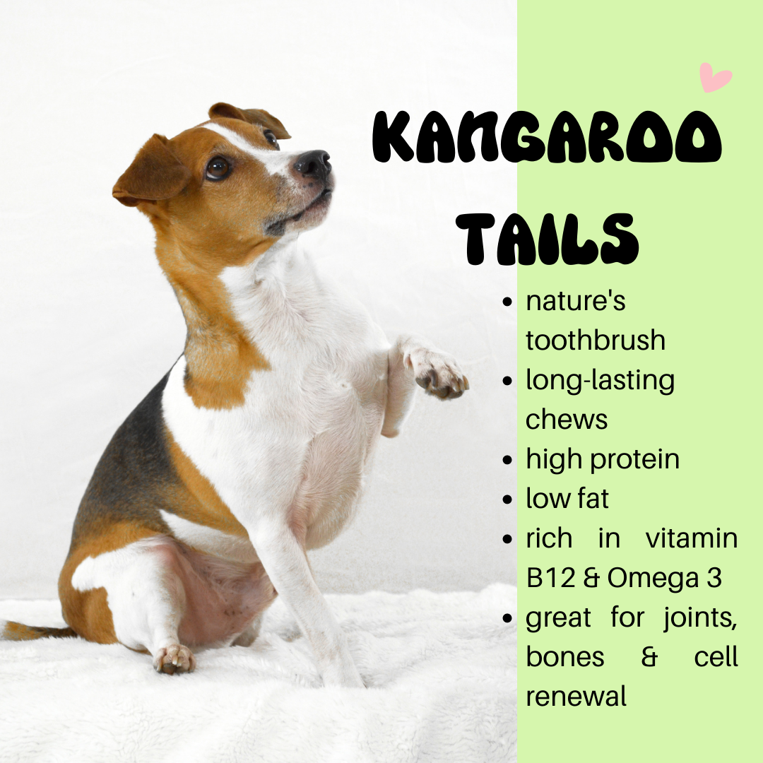 Kangaroo Tail