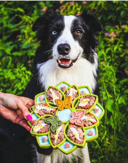 Lotus Flower Slow Feeder Bowl (Sodapup Enrichment Tray for Dogs)