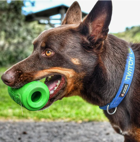 Dog Can (Sodapup Can Treat Dispenser & Enrichment Toy)