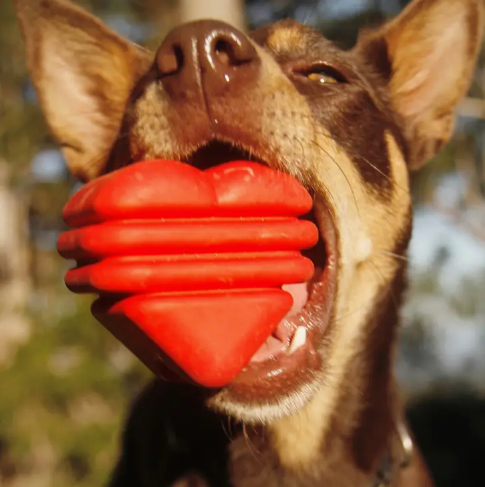 Love Heart (Sodapup Power Chewer & Enrichment Toy)