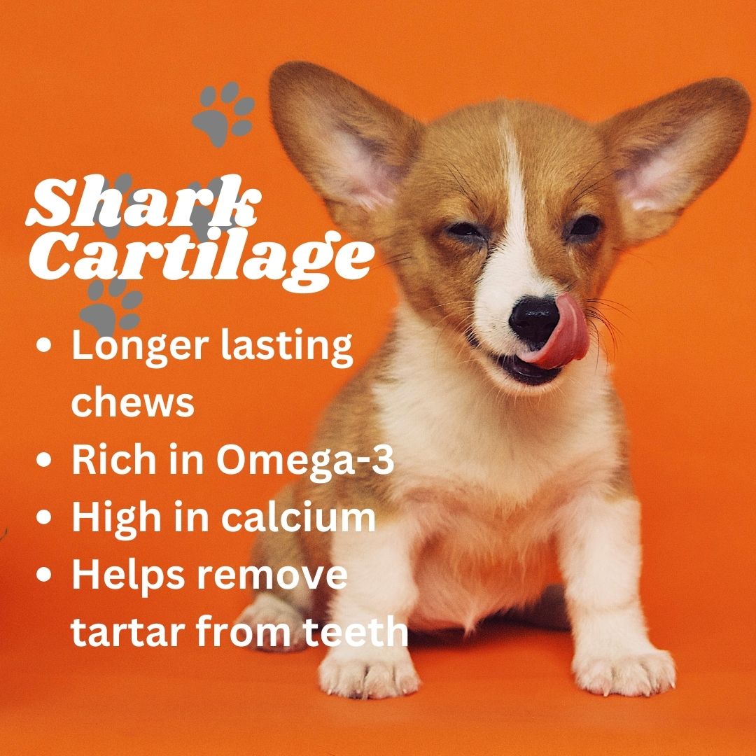 Shark Cartilage